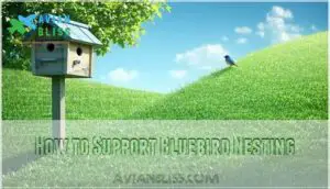 how to support bluebird nesting how to support bluebird nesting