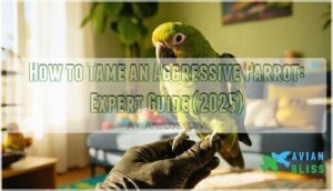 how to tame an aggressive parrot