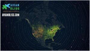 how to track real-time bird migration