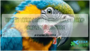 how to treat a bird with a broken beak