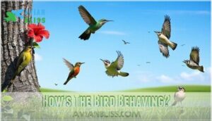 how's the bird behaving