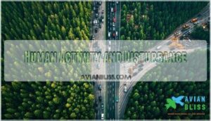 human activity and disturbance