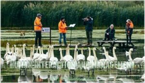 human interaction and management