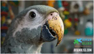 identifying and addressing beak problems identifying and addressing beak problems