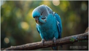 identifying bird illness identifying bird illness