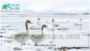 identifying juveniles vs. adults