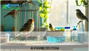 illness, pain, and toxic exposure