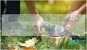 immediate steps to help an injured dove immediate steps to help an injured dove