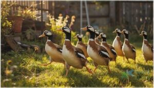 indian runner duck behavior and personality