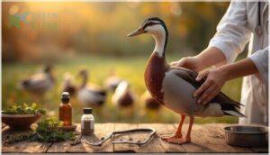 indian runner duck health and diseases