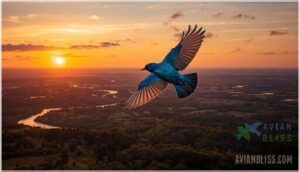 indigo bunting migration patterns