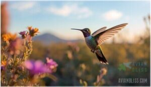 interesting facts about the lucifer hummingbird