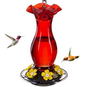 Jealoeur Hummingbird Feeder for Outdoors B0DPFB7WZY