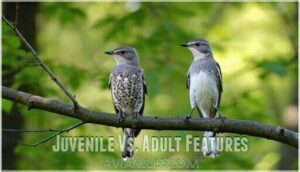 juvenile vs. adult features