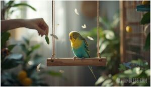 keeping your parakeet healthy and groomed