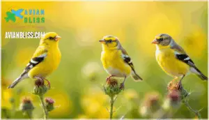 key differences from similar species