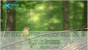 key identification markers compared to similar species