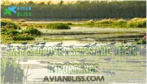 key stopover sites and their importance