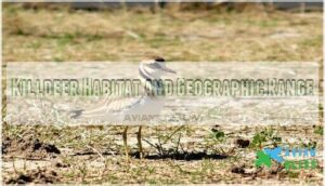 killdeer habitat and geographic range