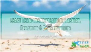 least tern least tern