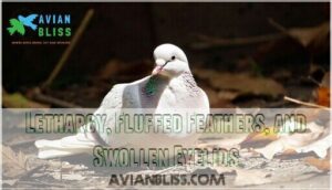 lethargy, fluffed feathers, and swollen eyelids lethargy, fluffed feathers, and swollen eyelids