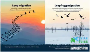 loop and leapfrog migration loop and leapfrog migration