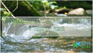 louisiana waterthrush