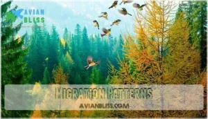 migration patterns