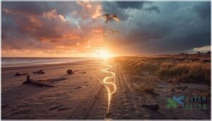 migration patterns and challenges