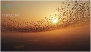 migration patterns and kettles