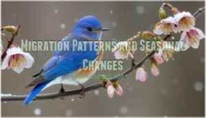 migration patterns and seasonal changes