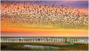 migration patterns and seasonal movements