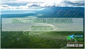 migratory routes and seasonal movements