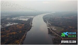 mississippi flyway migration mississippi flyway migration