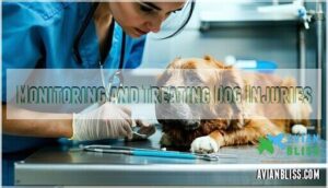 monitoring and treating dog injuries