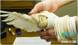 monitoring for proper circulation and fit