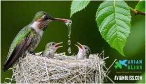 mother’s role in chick care