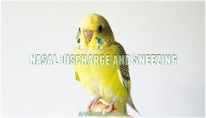 nasal discharge and sneezing