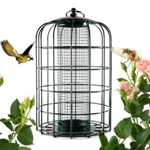 Nature's Rhythm Outdoor Hanging Bird B08DKQHWYH