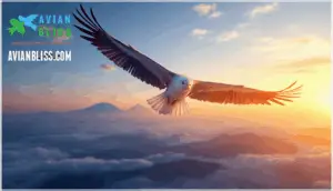 navigation strategies and adaptations