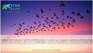 navigation strategies and flight formations