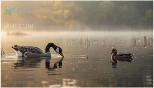 neck and beak variations