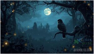 nightjar behavior and social structure