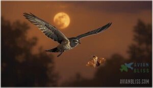 nightjar diet and foraging