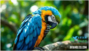 normal preening behaviors normal preening behaviors