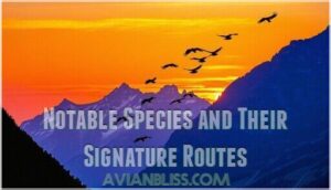 notable species and their signature routes