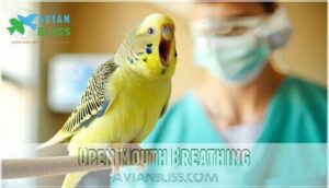 open mouth breathing