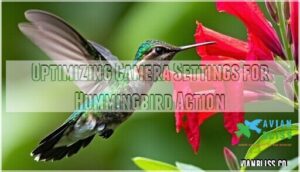 optimizing camera settings for hummingbird action