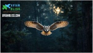 owl flight and camouflage