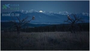 owl habitats across colorado